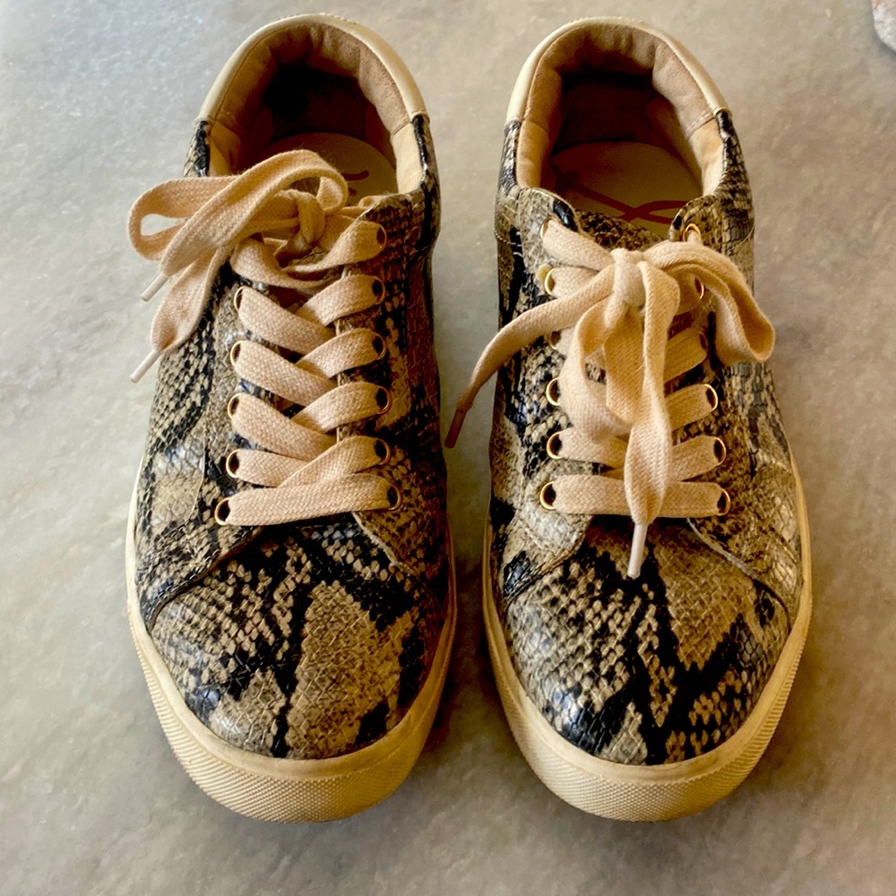 Sam Edelman snakeskin sneaker